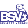 BSV BSV